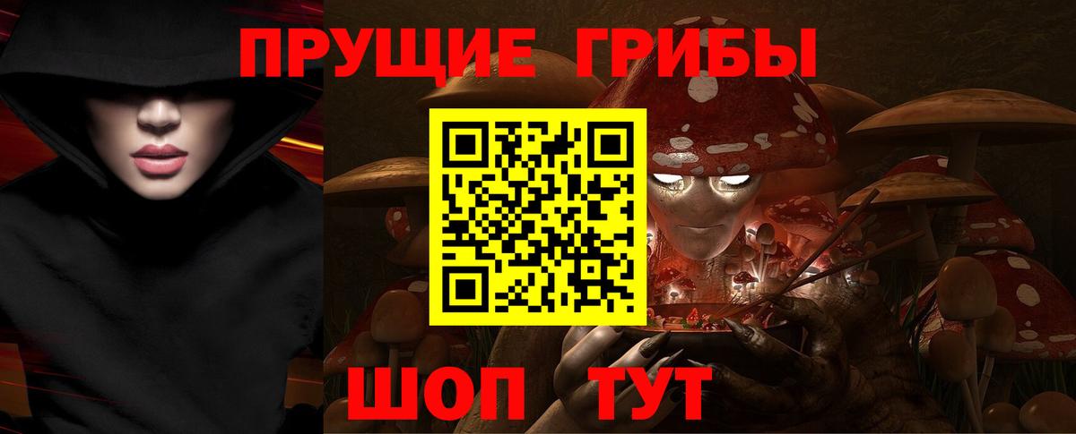 Оренбург  Галлюциногенные грибы мухоморы  Псилоцибиновые грибы Psilocybine cubensis  Вход с VPN 